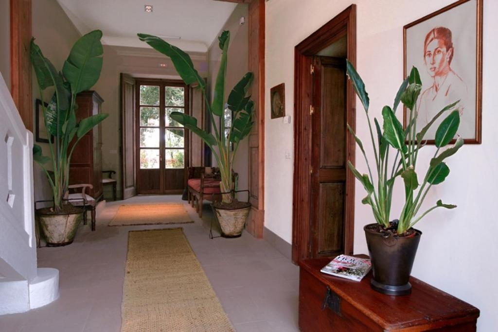 Casa Vina De Alcantara 헤레스 외부 사진